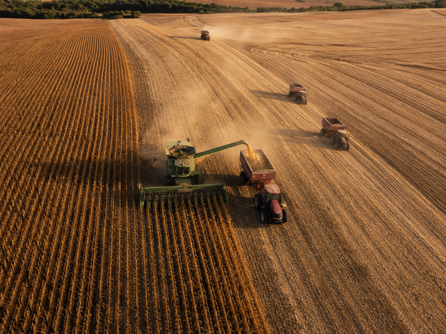 Seguros para o agro